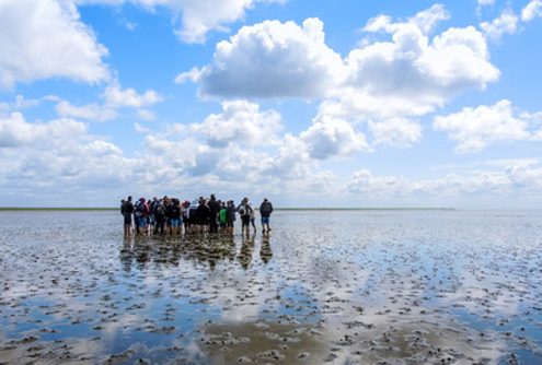 Wandern im Watt - Urlaub auf Spiekeroog